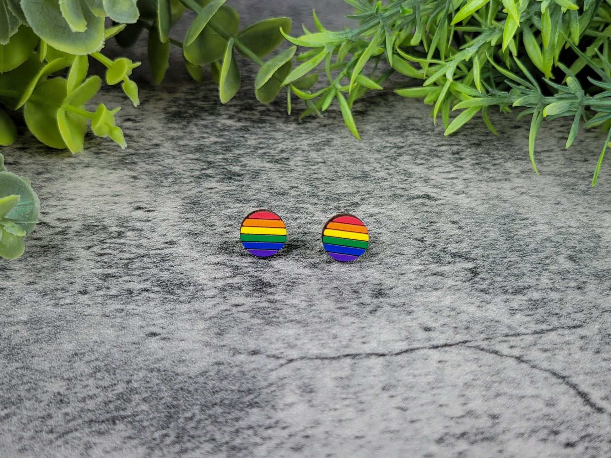 Rainbow striped earrings on a textured surface with green leaves in the background