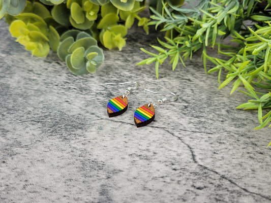 Rainbow heart-shaped earrings on a textured surface with green foliage in the background